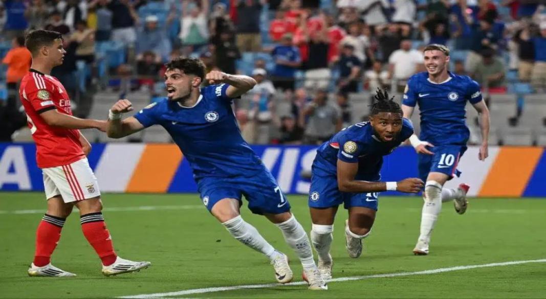 بيدرو نيتو