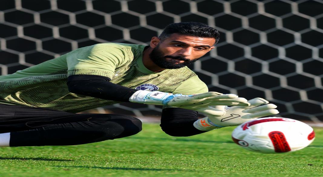 احمد الشناوي