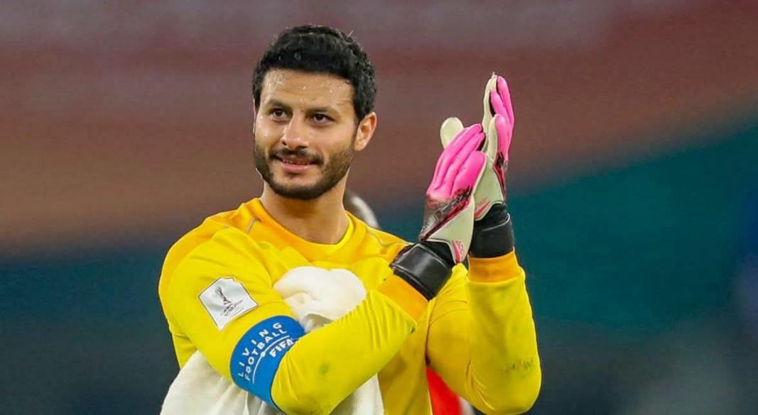محمد الشناوى